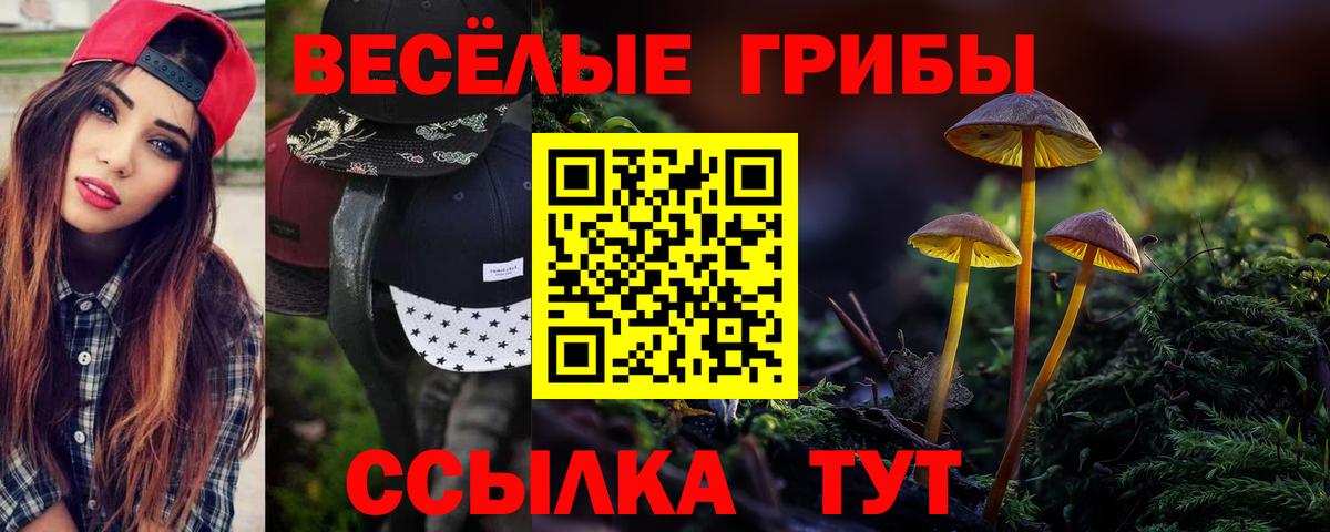 Псилоцибиновые грибы GOLDEN TEACHER  Вход с VPN  хочу наркоту  Клинцы 