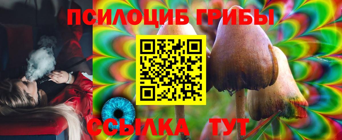 Галлюциногенные грибы Cubensis Клинцы